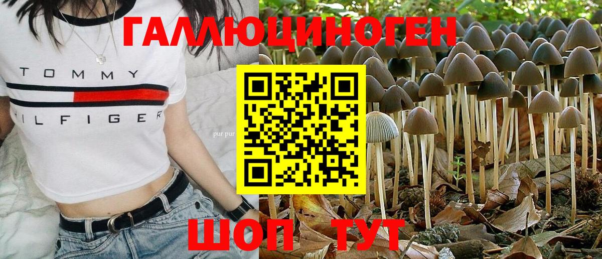 Псилоцибиновые грибы ЛСД Лосино-Петровский