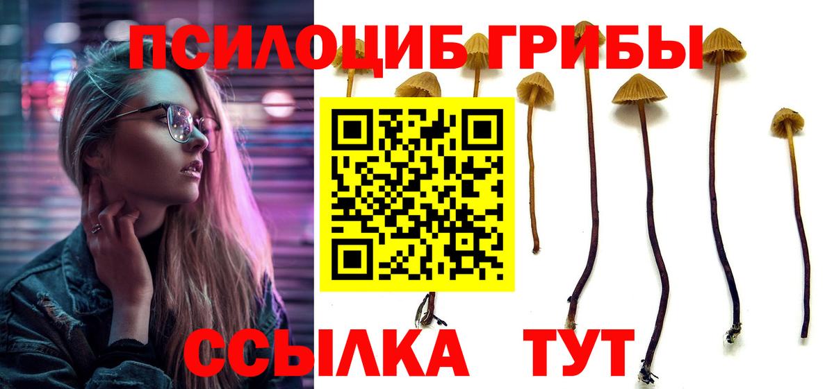 Лосино-Петровский  Псилоцибиновые грибы прущие грибы  Вход с VPN 
