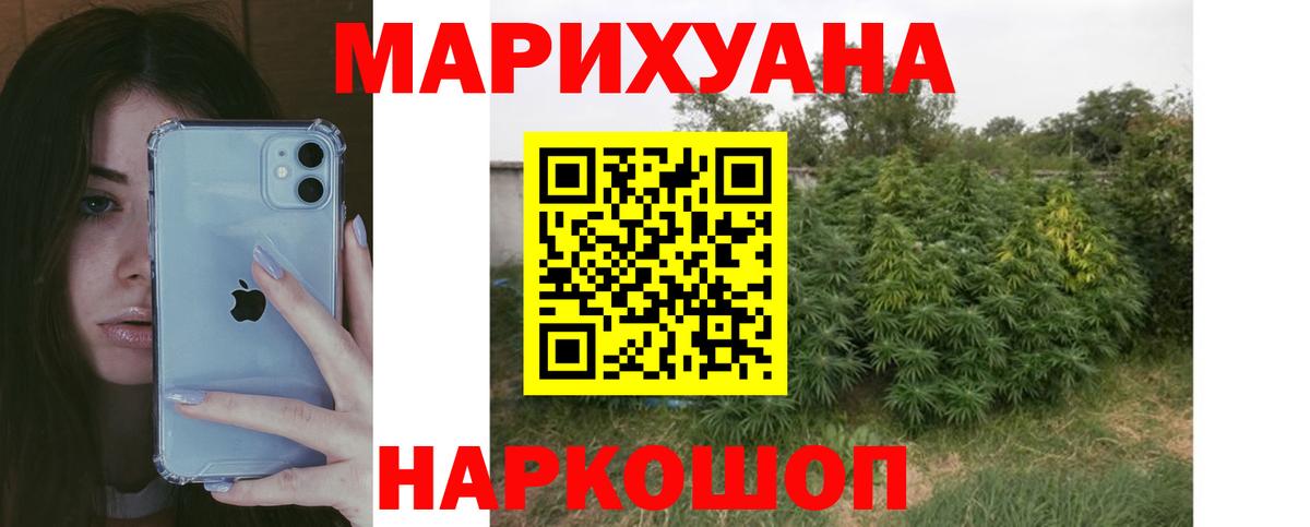 Конопля индика Лосино-Петровский